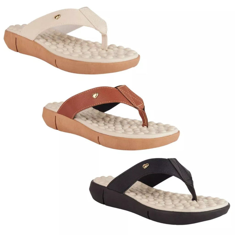 Econômico 1 Par Chinelo Ortopédico Ploomer + 1 Brinde + Frete Grátis