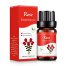 Essência Aromática Sempre Acessível