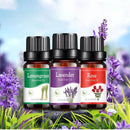 Essência Aromática Sempre Acessível